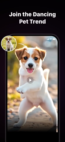 AI Video Generator - Maycheer Screenshot 2 of 5