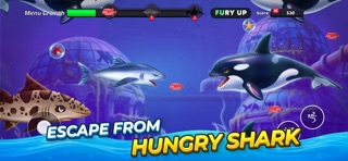 Fish Dash: Hungry Fish Frenzy Screenshot 5 of 6