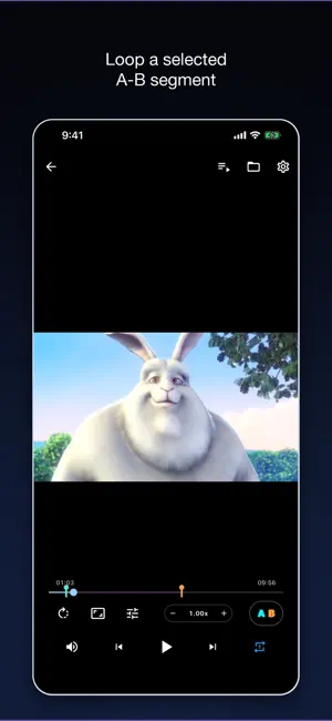 ABL Video Player screenshot 2