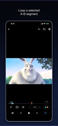 ABL Video Player Screenshot 2 of 10