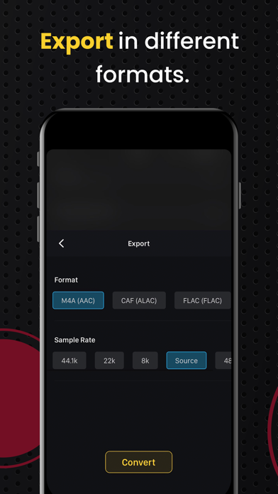 AudiOn: Voice Recorder & Memos Screenshot