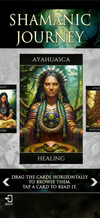 Shamanic Oracle Cards: Screenshot 5 von 7