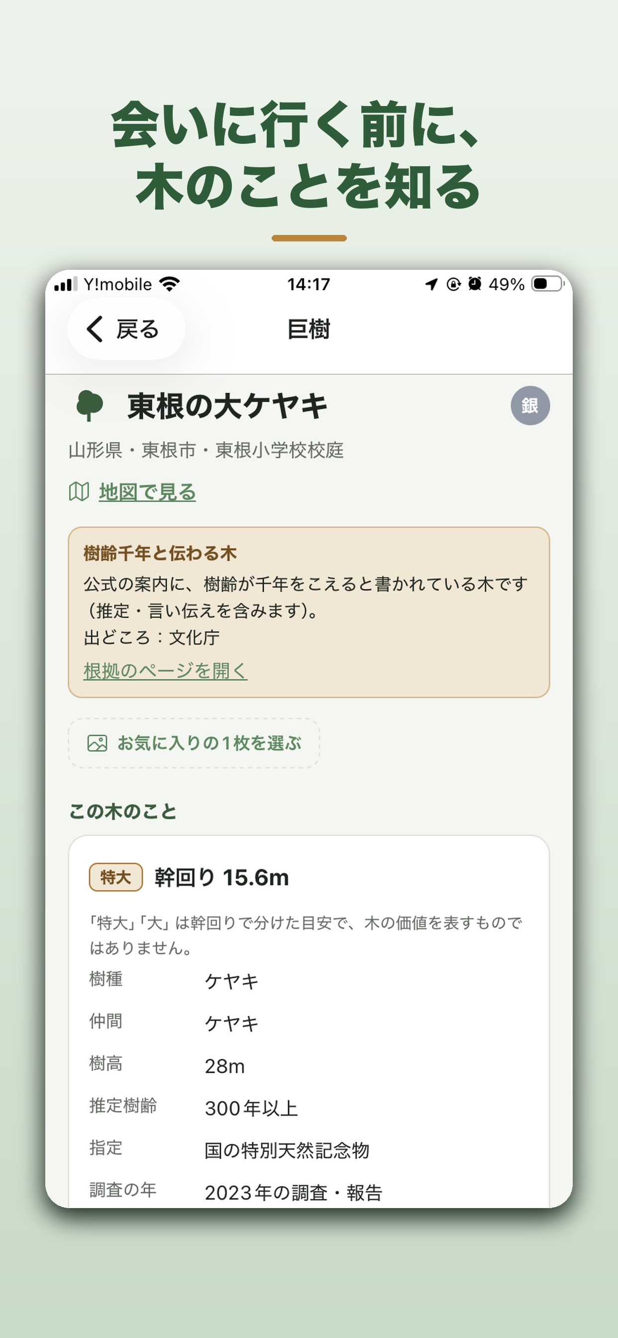 Screenshot 2 of 巨樹めぐり