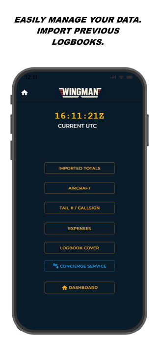 Pilot Wingman Screenshot 7 of 10
