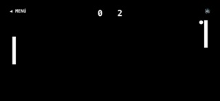 RetroPaddle screenshot