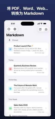AnyMarkdown - PDF转Markdown screenshot