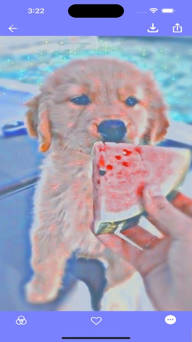 PFP X Dogs Wallpapers UHD! Screenshot