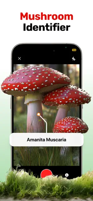 Mushroom ID: Fungi Identifier screenshot 1
