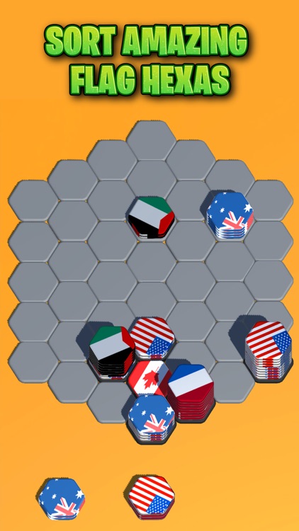 Hexagonal Flag: Sort Puzzle 3d screenshot-3