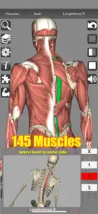 3D Anatomy screenshot #3 for iPhone