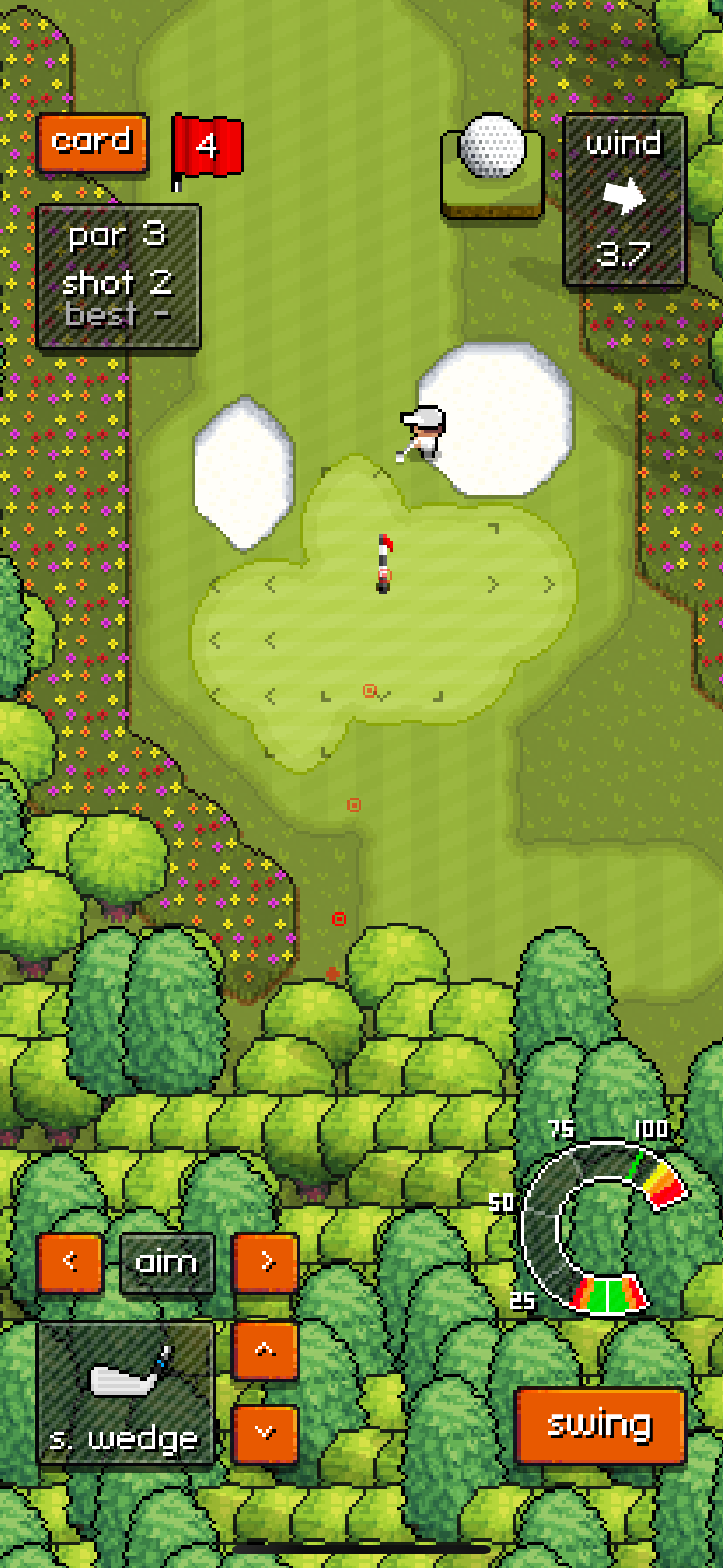 Pixel Pro Golf