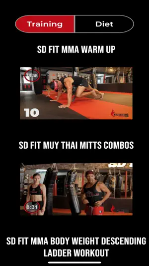 SD FIT-6 screenshot 2