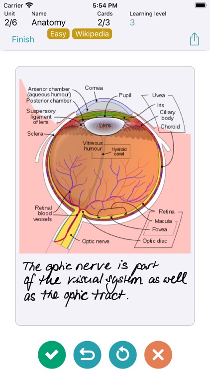 FlashBuddy: Flashcards screenshot-9