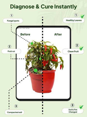 AI plant identifier plantcare iPad screenshot