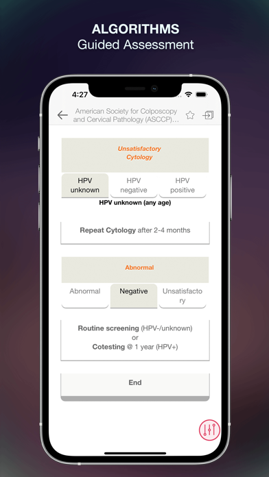 Adult Gerontology Guidelines Screenshot