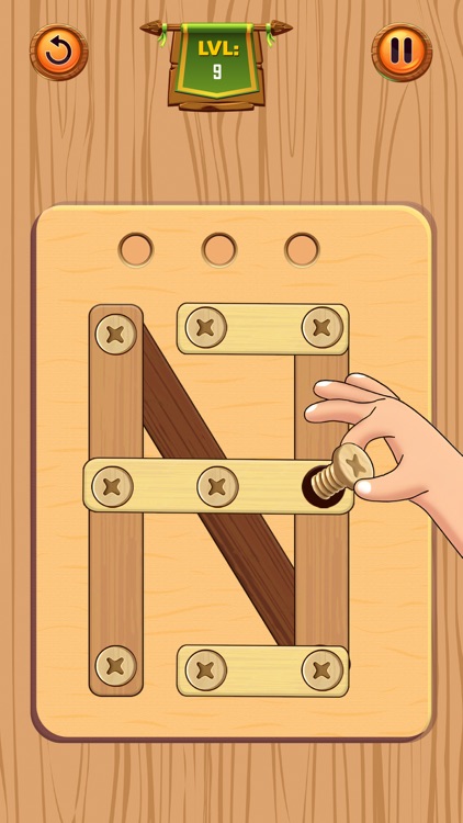 Nuts & Bolts: Screw Sort Game
