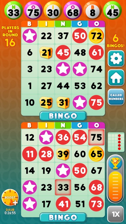 Bingo Blowout