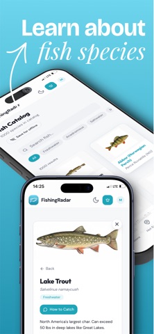 FishingRadar screenshot