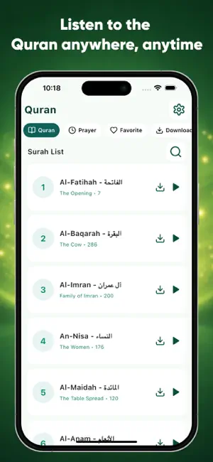 Quran sharif audio - offline screenshot 1
