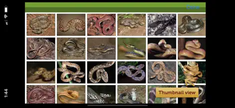 Snakes eGuide - Photo & Video App | MWM