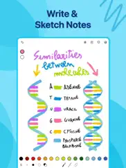 tayasui memopad - арт, заметки айпад изображения 1
