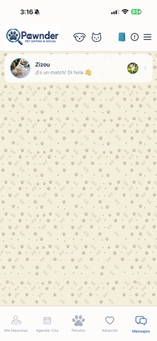 Pawnder Screenshot 6 of 6