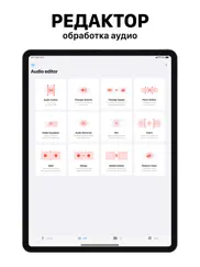 Диктафон айпад изображения 2