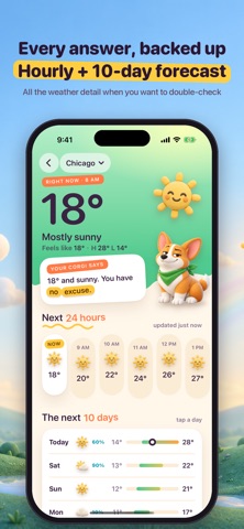 Dog Weather: Walks & Widgets app screenshot