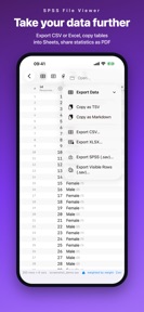 SPSS File Viewer screenshot