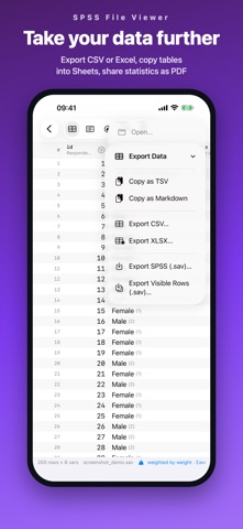 SPSS File Viewer Screenshot 6 of 6