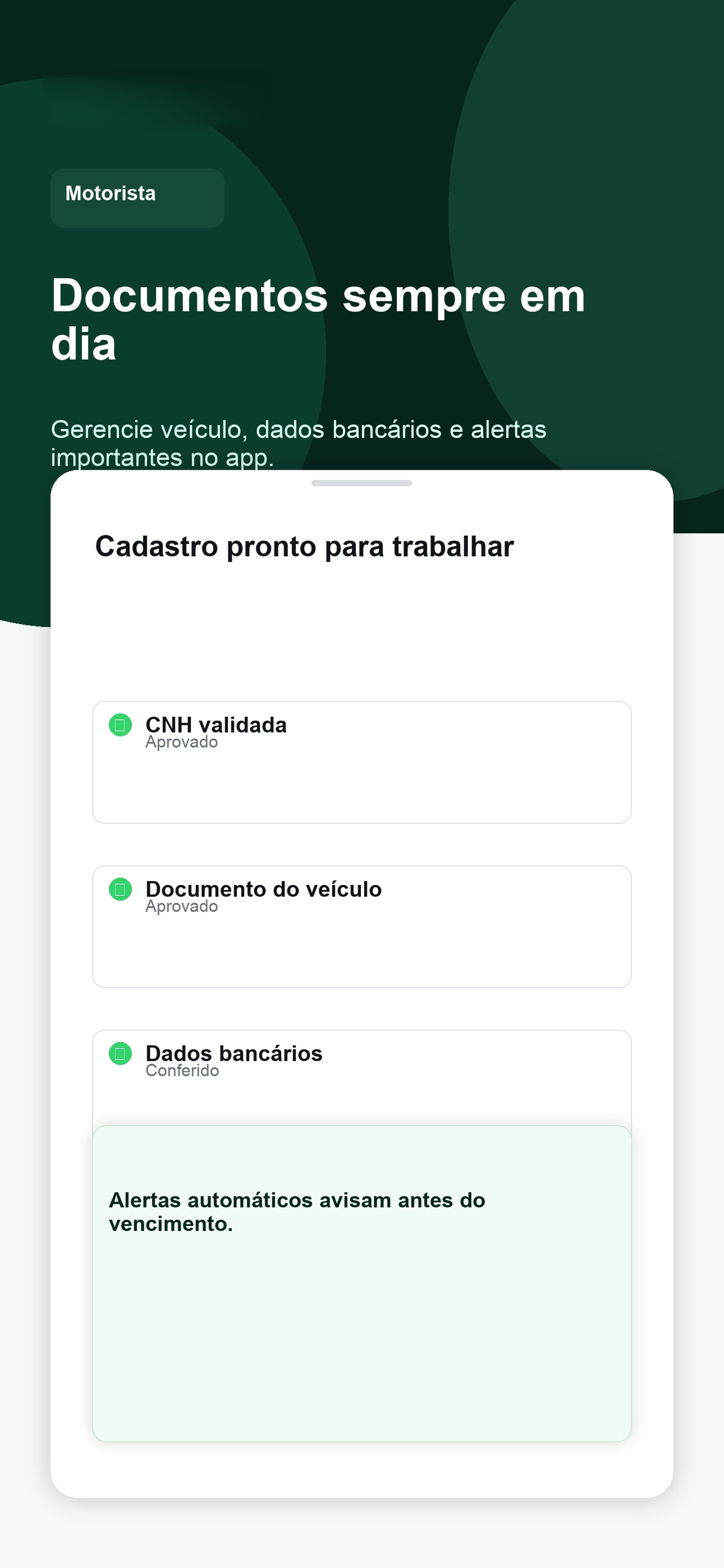 Screenshot 5 of Carmi Motorista
