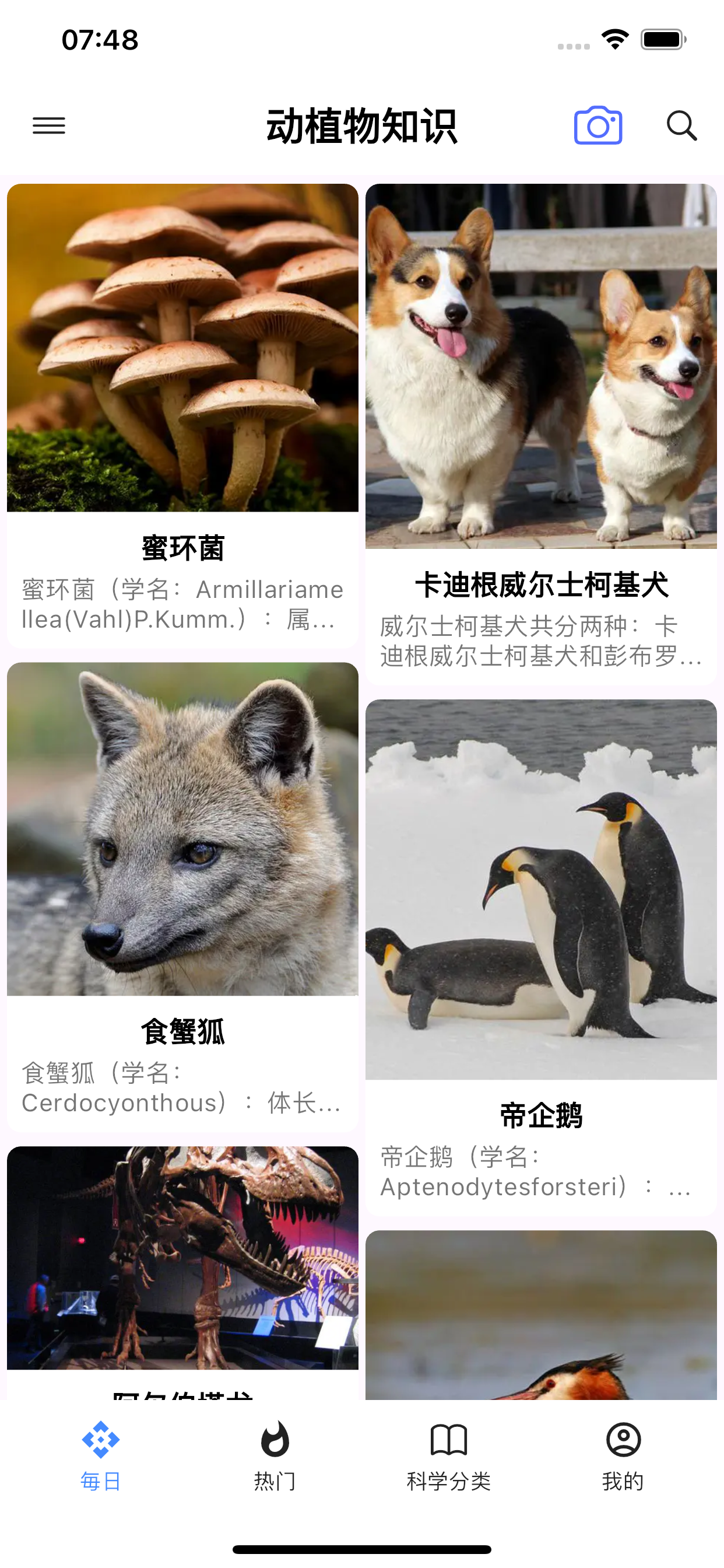 动植物大全(动物识别、植物识别)