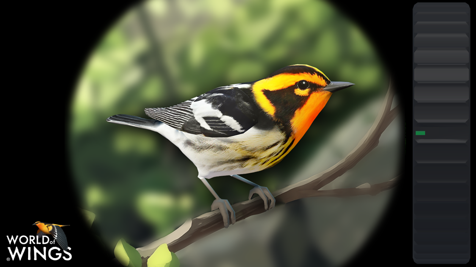 #1. World of Wings (iOS) 由: Vireo Development
