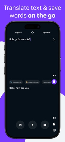 LexiT: Translator & Flashcards iPhone screenshot