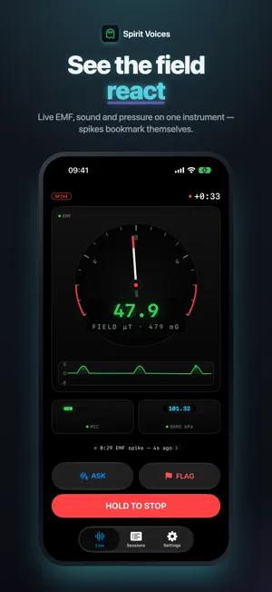 Night Vigil: Paranormal Kit screenshot 1