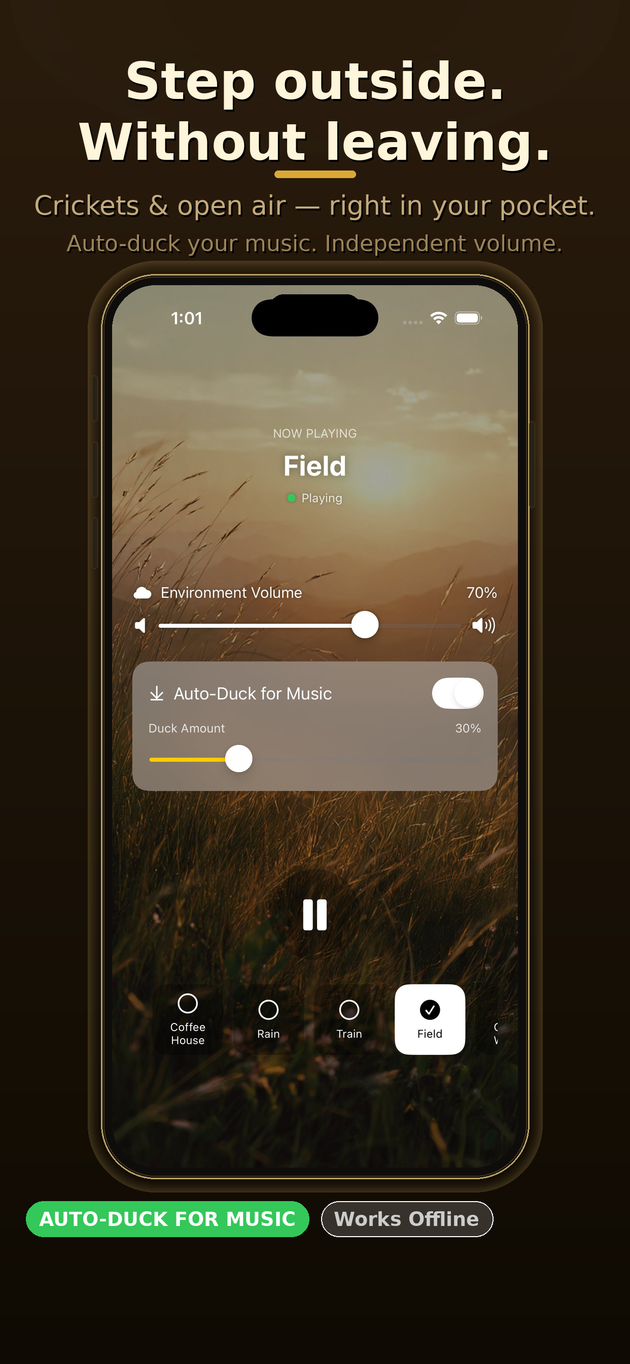 Ambient Cafe — Focus & Sleep