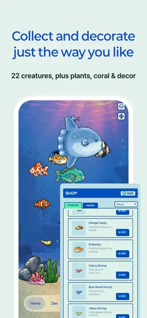 Soyo - Aquarium & Focus Timer screenshot 3