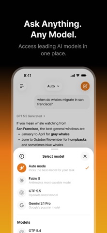 Anuma - Private AI with Memory iPhone screenshot