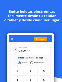 Boleta electronica DteFacil screenshot 4