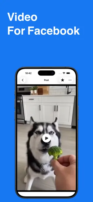 FbTake - Facebook Video Saver screenshot 2