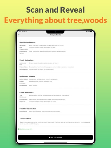 Wood Identifier: Tree & Bark iPad screenshot