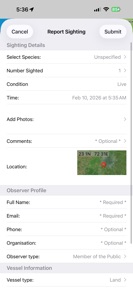 Whale Alert screenshot