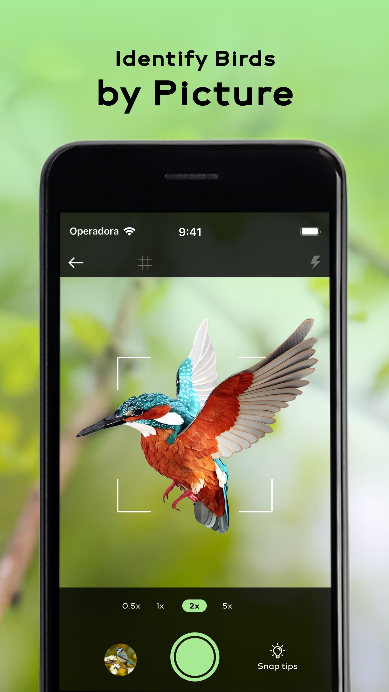 Bird Sounds Identifier Call ID screenshot 3