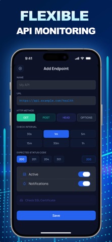 Endora – API Monitor screenshot