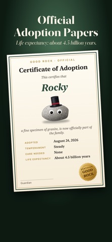 Good Rock: Adopt a Tiny Rock Screenshot 7 of 9