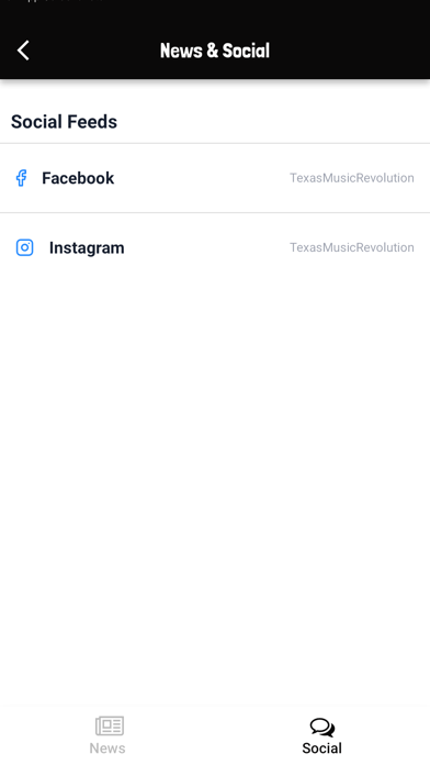 Texas Music Revolution Screenshot