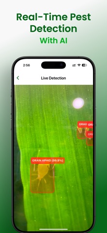 Pezego screenshot