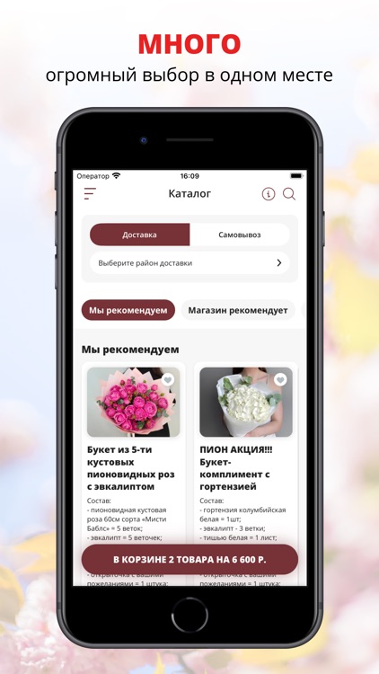 Mr.ПИОН | Ростов-на-Дону