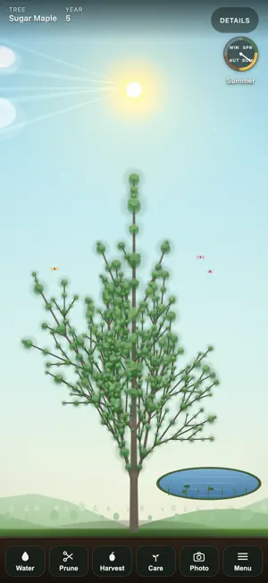 Quietgrove: Grow a Tree screenshot 1