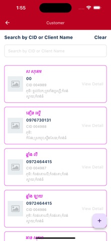 LCDC-DL screenshot